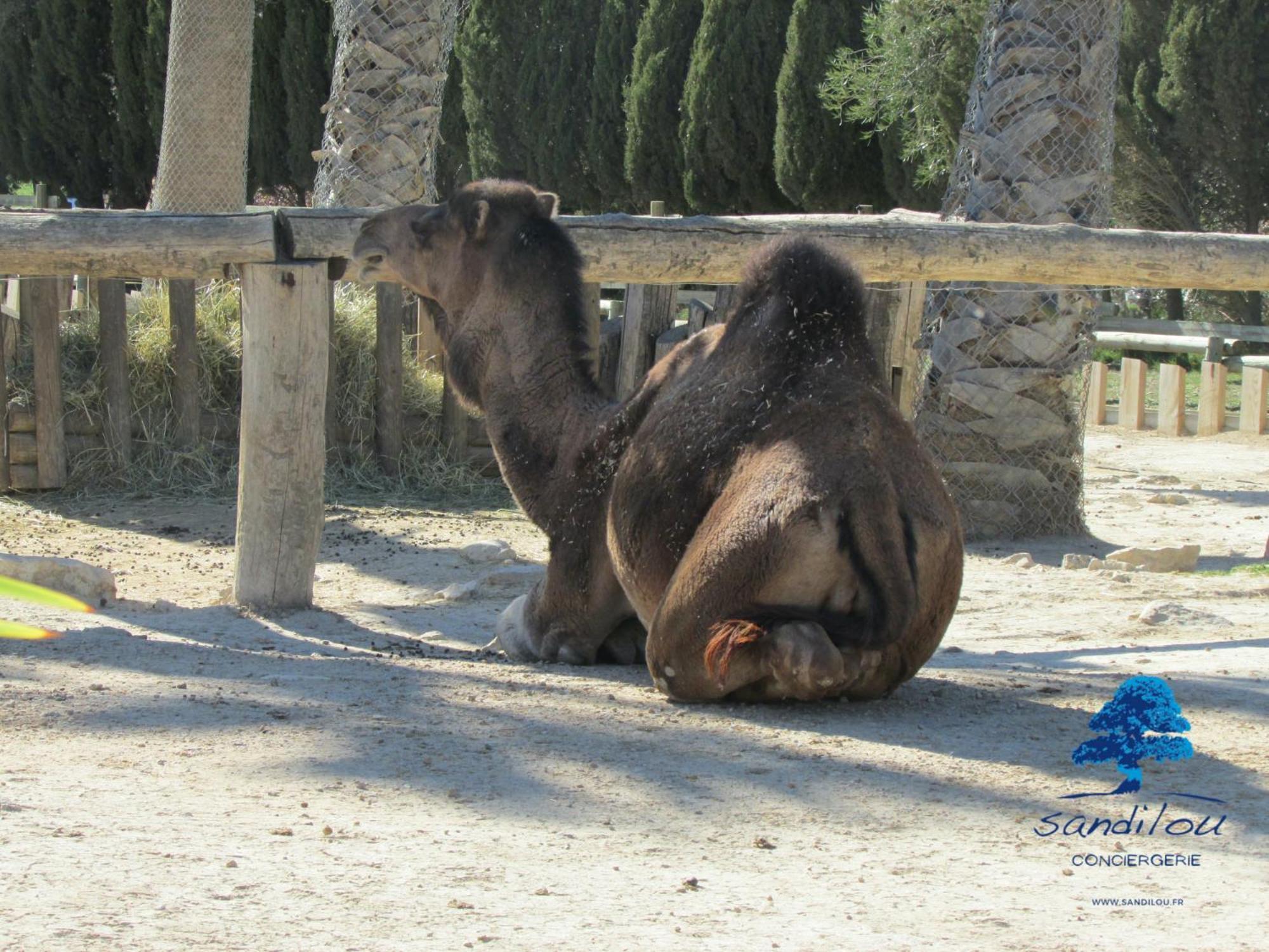 Сasa de vacaciones Sandilou Lespetitsbonheurs 2 Climatise Tv Sigean
