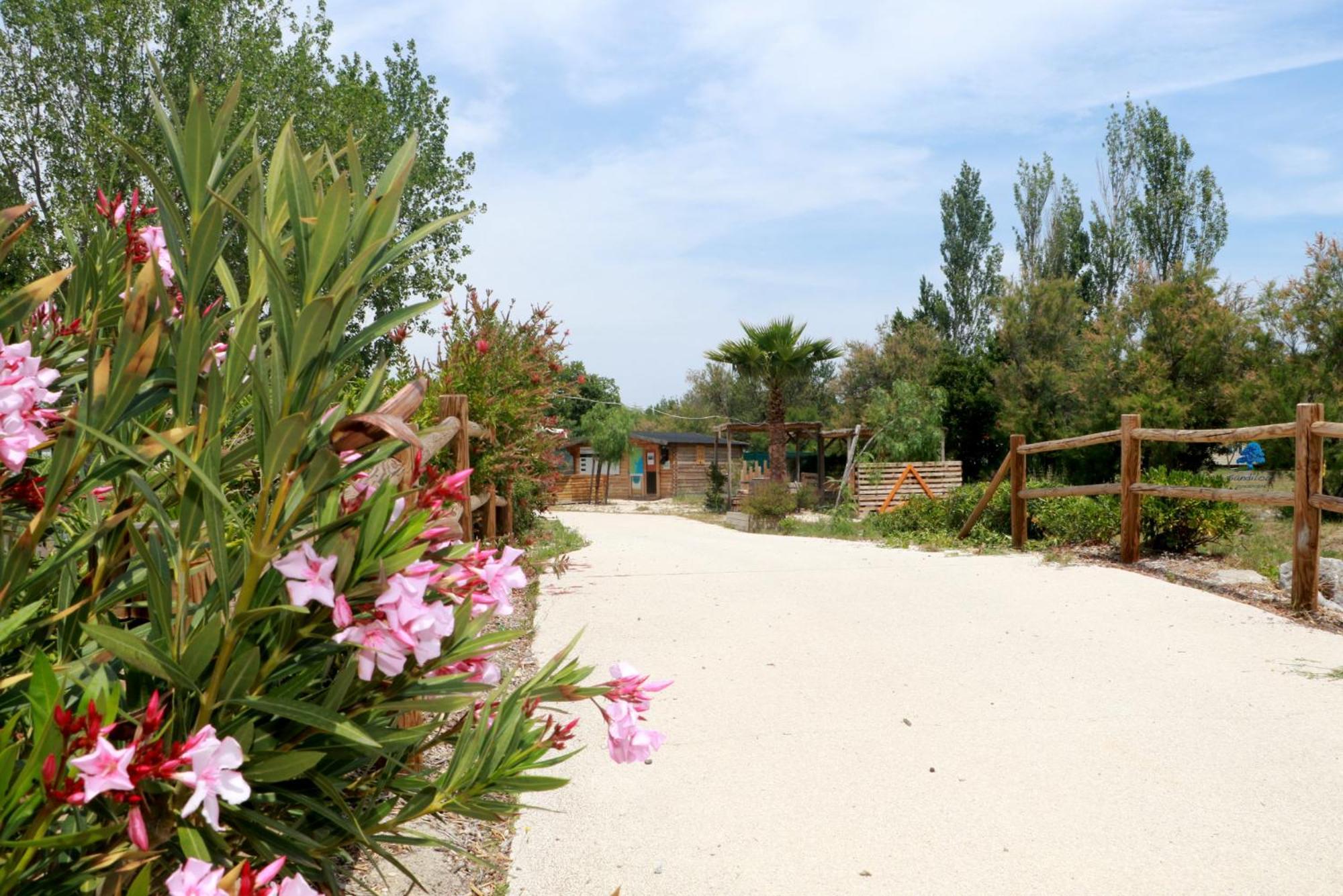 Sandilou Lespetitsbonheurs 2 Climatise Tv Holiday home